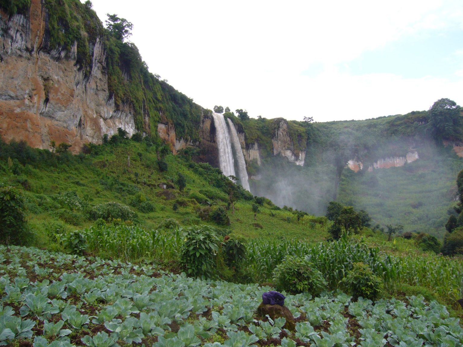 Sipi Falls above terraced cabbage and maize gardens on the escarpment.