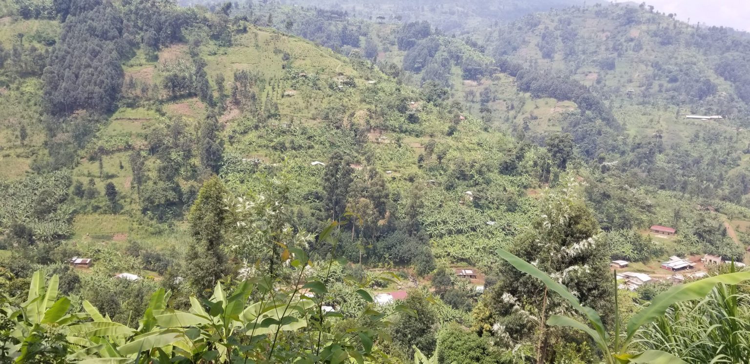 Farmed hillsides and scattered homesteads in the Bududa foothills of Mount Elgon.