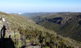 A steep valley cutting through Mount Elgon's high heath, with distant ridges beyond.