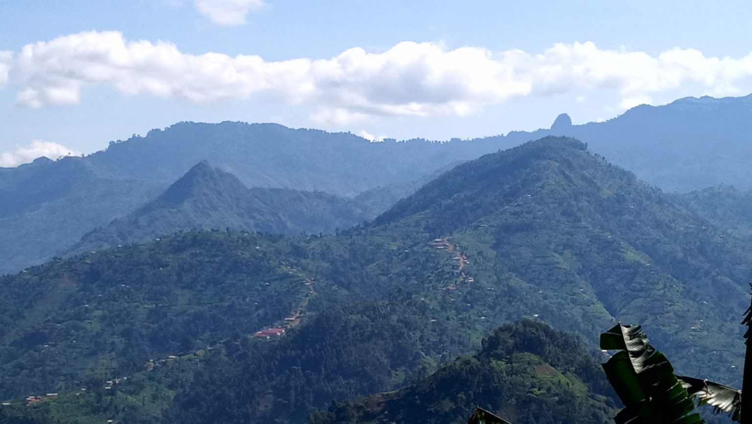 A long ridge above cultivated slopes in the Mount Elgon foothills of eastern Uganda.