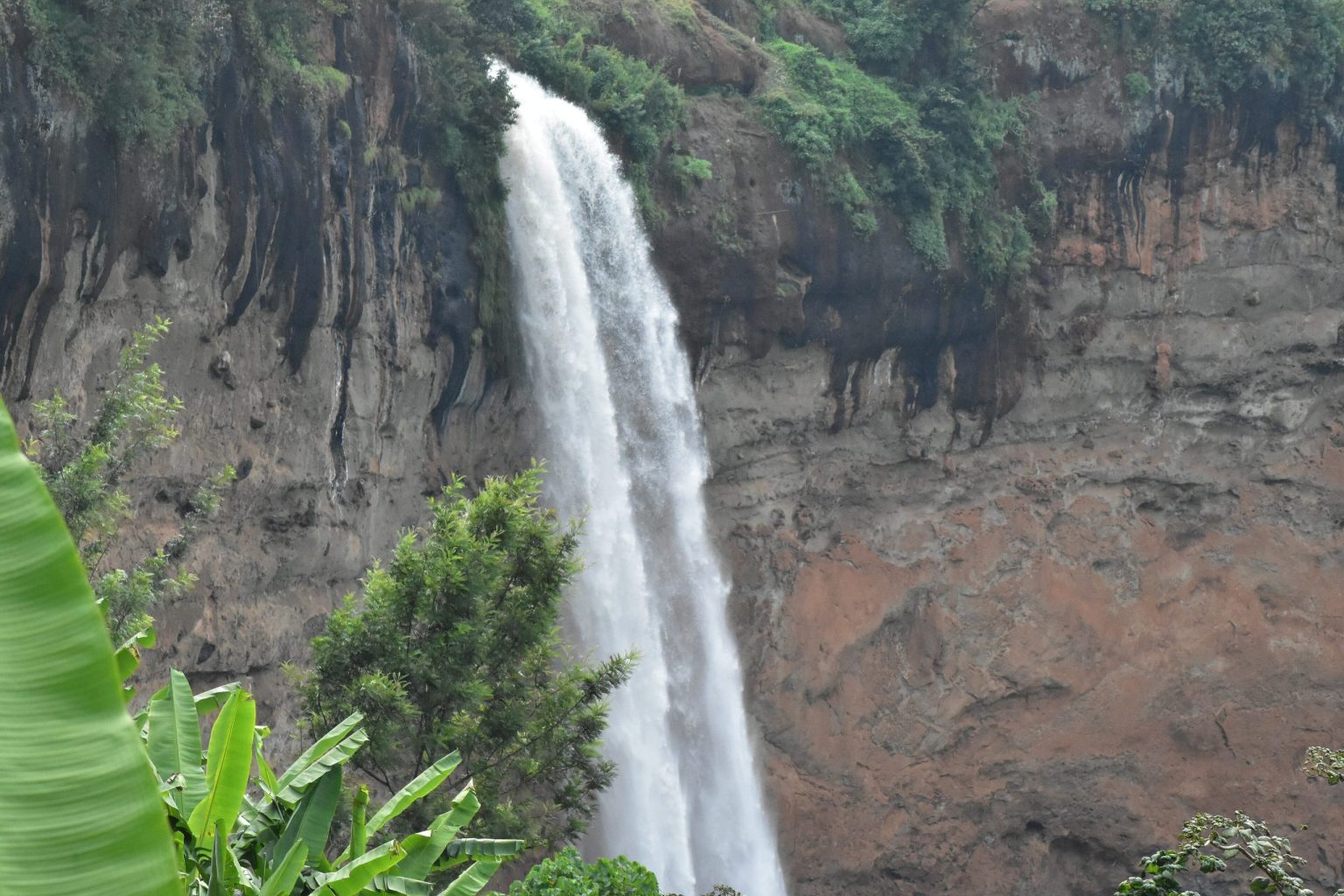 The main drop of Sipi Falls plunging down a dark cliff face into forest.